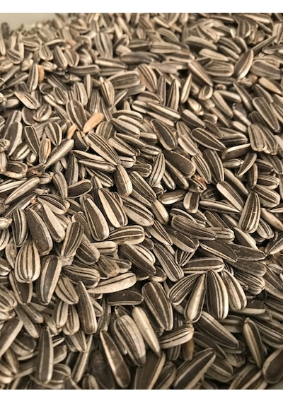 Küçük Alaca Çekirdek 1 KG Yeni Mahsul