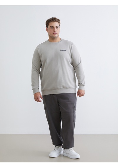 Lcwaıkıkı Classic Gri Bisiklet Yaka Baskılı Erkek Sweatshirt