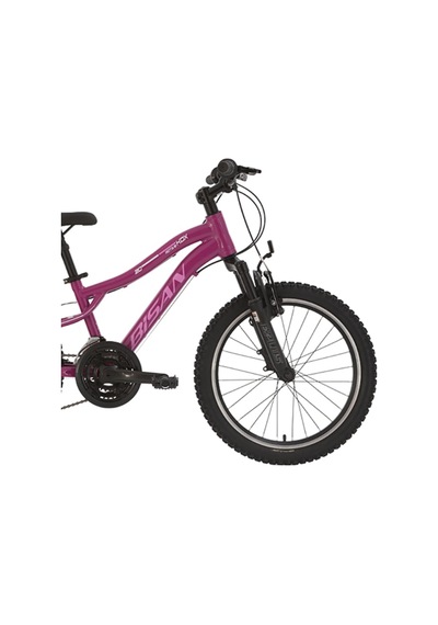 Bisan Kdx 2500-v-25 Kız Çocuk Bisikleti 28cm V 20 Jant 21 Vites Metalik Mor Pembe Beyaz Çok Renkli