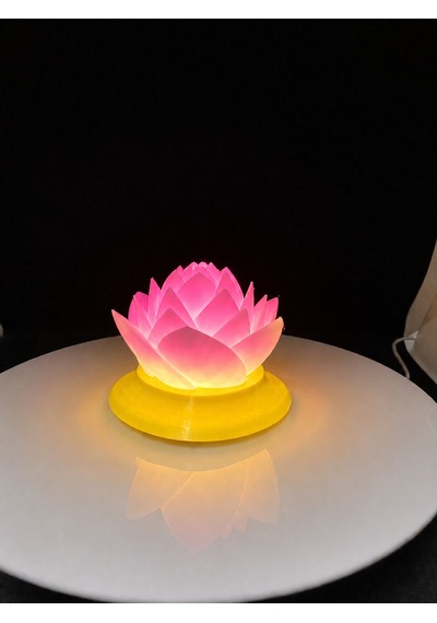 Printlab3d-lotus Mumluk Sarı-pembe