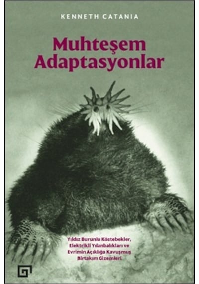 Muhteşem Adaptasyonlar  - Kenneth Catania  - Koç Üniversitesi Yayınları