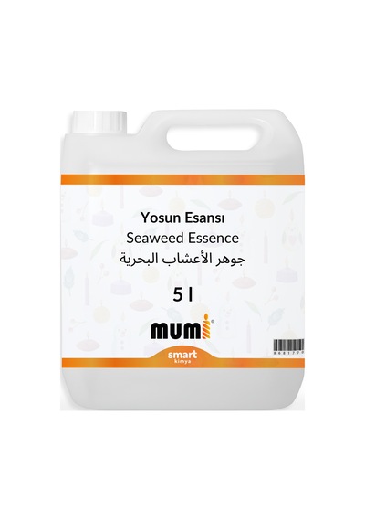 Yosun Mum Esansı 5 Litre Şeffaf