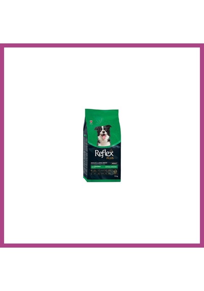 Gees Global Orta Ve Büyük Irk Tavuklu Yetişkin Köpek Maması 12 Kg Gbzs