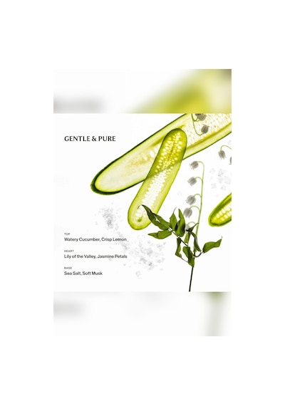 Touchland Lily Of The Valley Nemlendirici Ve Kokulu El Temizleme Spreyi 30ml