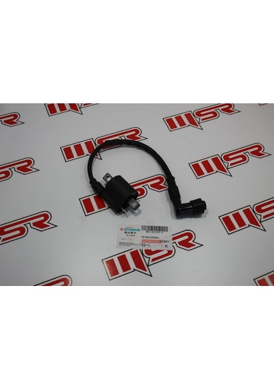 Cyrpton Jıanshe Ateşleme Bobini (490497008)