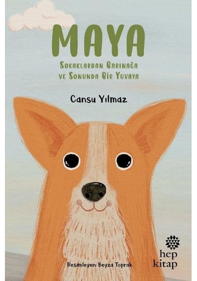 Maya - Sokaklardan Barınağa ve Sonunda Bir Yuvaya - Cansu Yılmaz - Hep Kitap