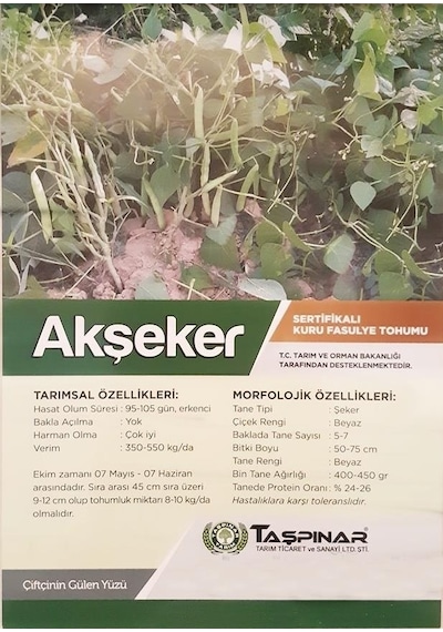 Taşpınar Akşeker Kuru Fasulye Tohumu 1 Kg