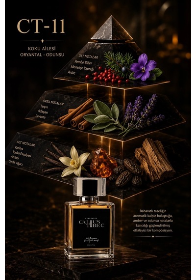 Calius Tibec Ct-11 Kadın Parfüm EDP 50 ML