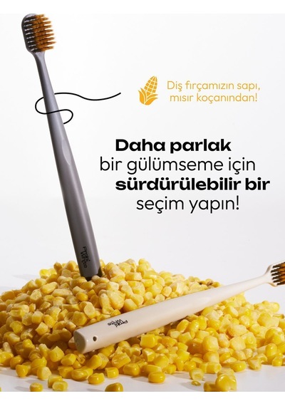 Probiwhite Spiral Uçlu Doğal Vegan Diş Fırçası El Yapımı Stant Hediye