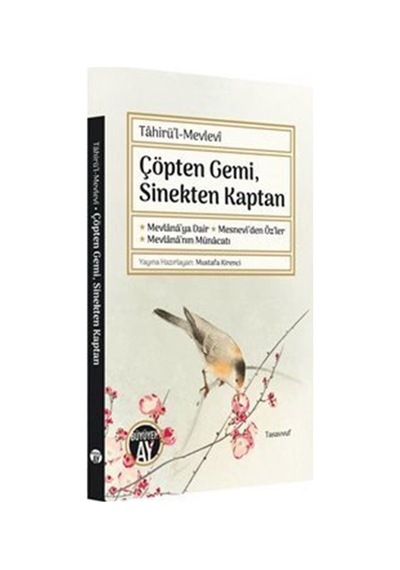 Çöpten Gemi Sinekten Kaptan - Tahirü'l Mevlevi - Büyüyenay Yayınları