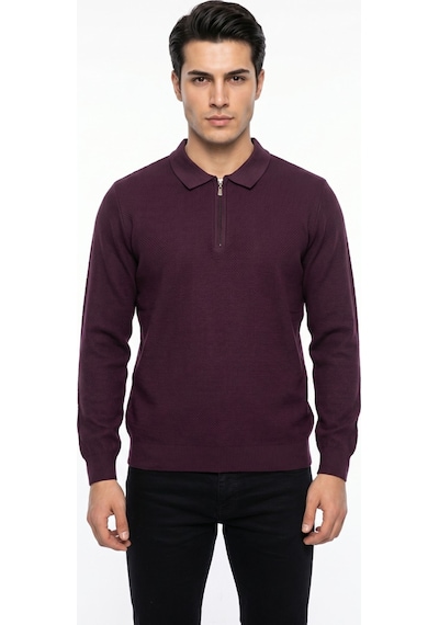 Foterman Erkek Spor Polo Yaka Mevsimlik Kazak Bgl-st05443 Mürdüm