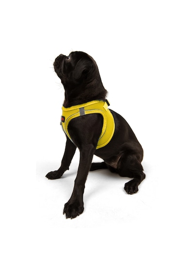 Air-Mesh Küçük ve Orta Irk Kedi Köpek Göğüs Tasması - Yumuşak, Nefes Alabilir, Dayanıklı SARI 2XS