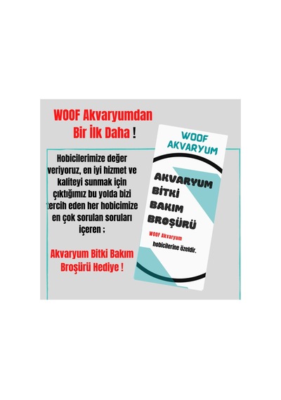 Akvaryum Yosun Kazıyıcı Karbon Kaplı 30 Cm,akvaryum Yosun Temizleyici Camdaki Yosunları Temizler