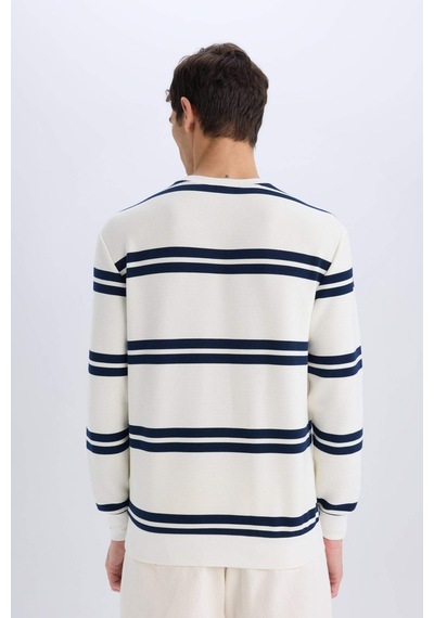 DeFacto Regular Fit Bisiklet Yaka Dokulu Sweatshirt D7595AX25SPWT32