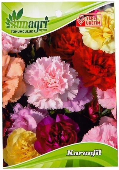 Karanfil Çiçeği Tohumu-3324