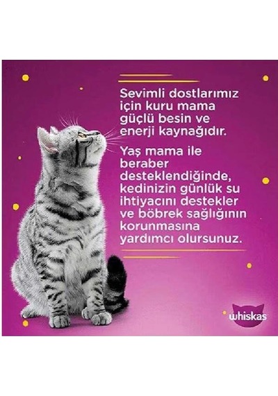Whiskas Pure Delight Tavuk Dilimli Yaş Kedi Maması 4x85 Gr X 2 Adet