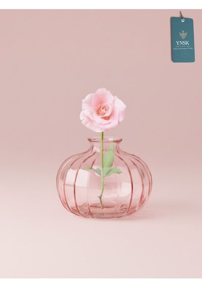Chacha Home Modern 3'lü Minimalist Cam Çiçek Vazosu Dekoratif Masa Üstü Vazo Seti Açık Pembe