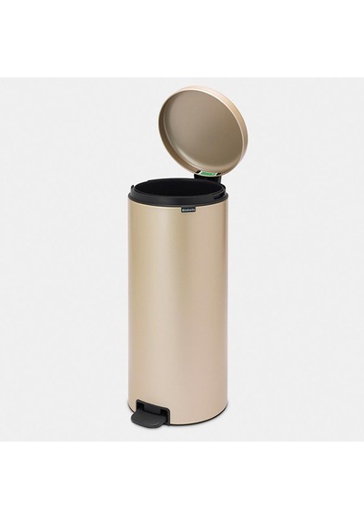 Brabantia Çöp Kutusu 30 Litre Newicon Pedallı Şampanya Rengi 3044