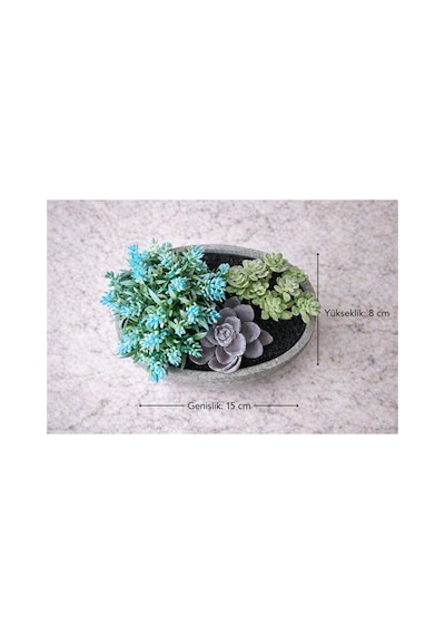 Yapay Sukulent Aranjman Kase Saksılı 15x8 Cm Dekoratif Bitki Modern Masa Üstü Çiçek