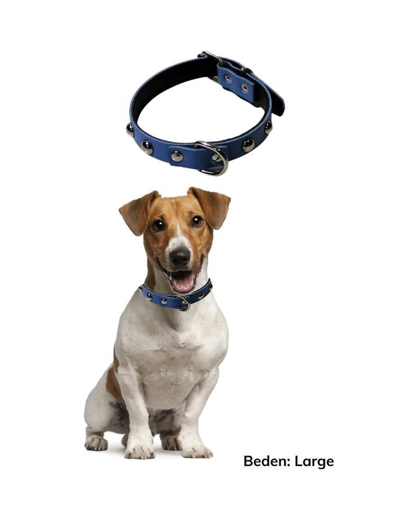 Mcg Mcg Yumuşak Dokulu Deri Köpek Gezdirme Boyun Tasması Large Renkli