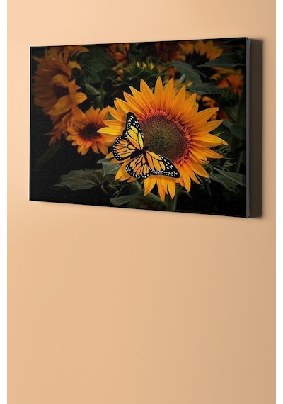 Webstyle Sayılarla Boyama Seti Kasnaklı Kelebeğin Keyfi 50 X 65 Cm