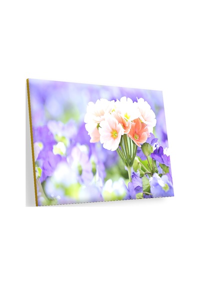 Cakasepetim Mor Bahçenin Ortasında Güzel Portakal Çiçekleri Görseli Ahşap Mdf Tablo