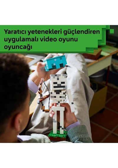 İskelet 21594 İskelet 21594 Standart