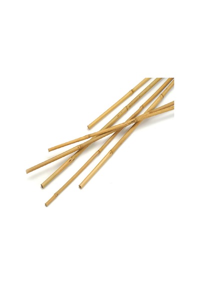 40 Adet Bambu Bitki Fidan Destek Çubuğu 1 Metre