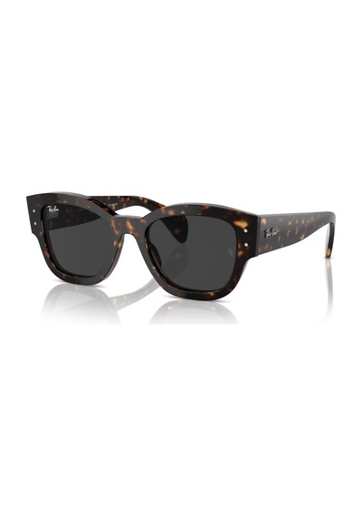 Ray-ban Güneş Gözlüğü Rb7681s 52 902/48 Kahverengi