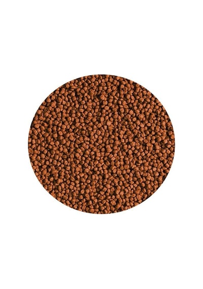 Tropical Red Parrot Granulat 1000ml 400gr