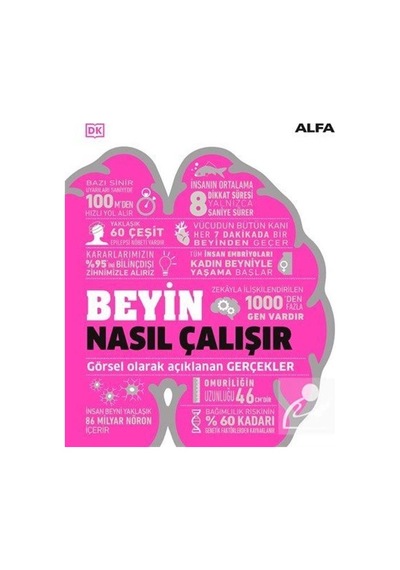 Beyin Nasıl Çalışır (Ciltli) / Kolektif