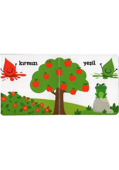 +1 Yaş Minik Kitaplar Renkler Eolo Yayınları