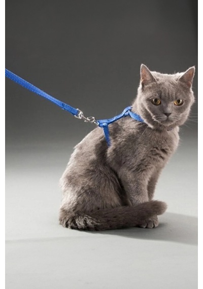 Thentech Yeni Nesil Kedi Tasması Dışarıda Gezdirmek İçin Rahat Kullanım Göğüs Tasması