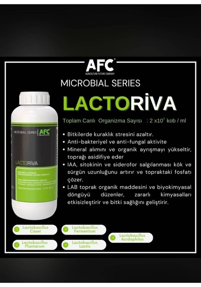 Lactoriva 1lt Sıvı Gübre Diğer