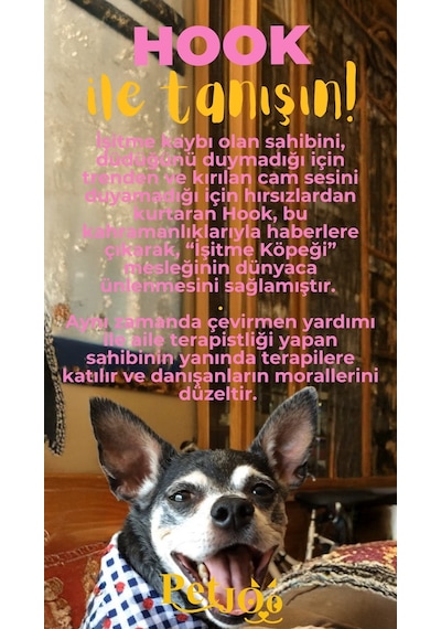 Petjoo 7.Hook Sarı-Pembe Qr'lı Köpek Künyesi