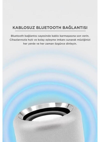 Bluetooth Hoparlör Taşınabilir Speaker D12 Gümüş Kablosuz Cihaz Müzik Ses Cihazı