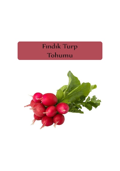 Fındık Turp Tohumu 1 Paket 10GR=1000+ Adet Turp Tohumu Fındık