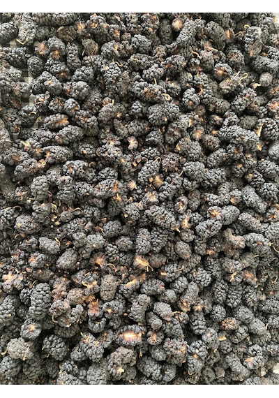Baş Değirmenler İzmir Torbalı Karadut Kurusu 500 G