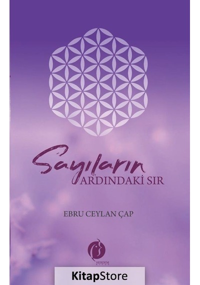 Sayıların Ardındaki Sır - Ebru Ceylan Çap - Herdem Kitap