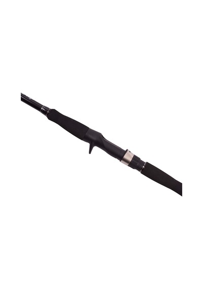 Albastar Novus C Kamış 100-300gr 165cm