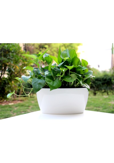 Kendinden Sulamalı Parlak Oval Akıllı Saksı Büyük Boy 29 X 14 X 15 Cm