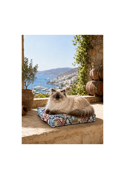 Kedi Ve Köpek Yer Minderi Ve Matı Üst Kalite Yıkanabilir Kılıflı Fermuarlı %100 Boncuk Elyaf Kaydırmaz Taban Kedi Ve Köpek Yatağı Mavi Kırmızı 1609352148 Kedi Ve Köpek Yer Minderi Ve Matı Üst Kalite Yıkanabilir Kılıflı Fermuarlı %100 Boncuk Elyaf Kaydırmaz Taban Kedi Ve Köpek Yatağı Mavi Kırmızı 1609352148