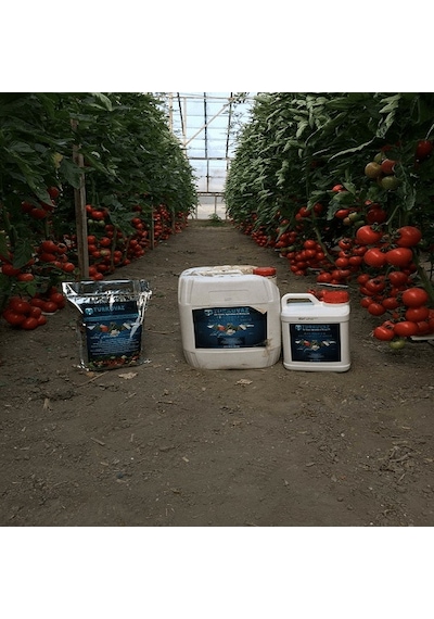 5 L Turkuvaz Bat Power Organik Sıvı Yarasa Gübresi