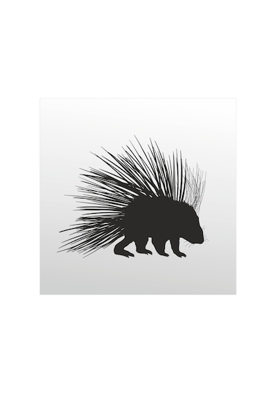 Folyo Sticker Kirpi 70cm Uzunluk Siyah