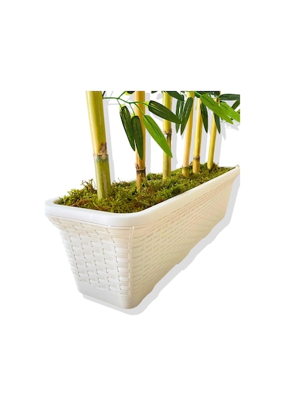 Cihan Çiçekçilik Bambu Seperatör 175 Cm 6 Adet Bambu 72 Cm Beyaz Saksı Beyaz- Yeşil