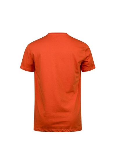 2as Alex Baskılı Erkek Sıfır Yaka T-shirt 047 TURUNCU