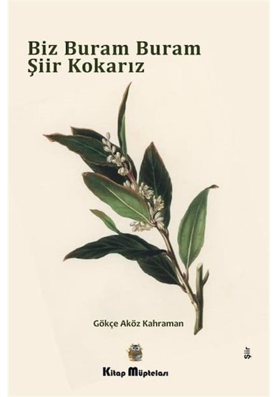 Biz Buram Buram Şiir Kokarız - Gökçe Aköz Kahraman - Kitap Müptelası Yayınları