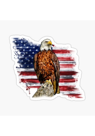 Araba Için Kartal Sticker Yapıştırma Etiket Amerikan 17Cm