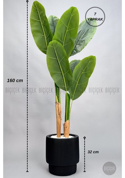 Biçiçek Yapay Starli̇ce 160 Cm 7 Yapraklı Si̇yah Vega Saksıda