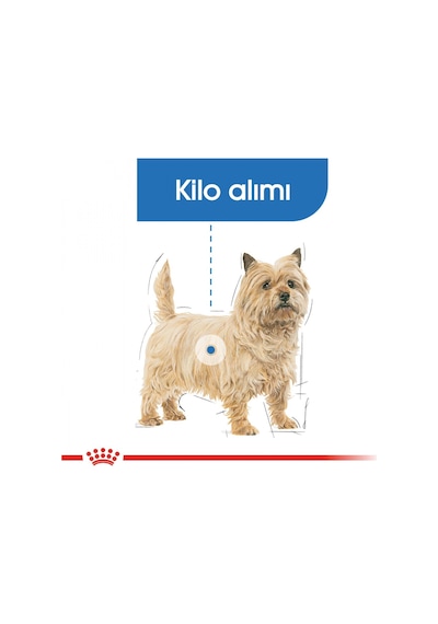 Royal Canin Mini Light Weightcare Küçük Irk Yetişkin Diyet Köpek Maması 3 KG